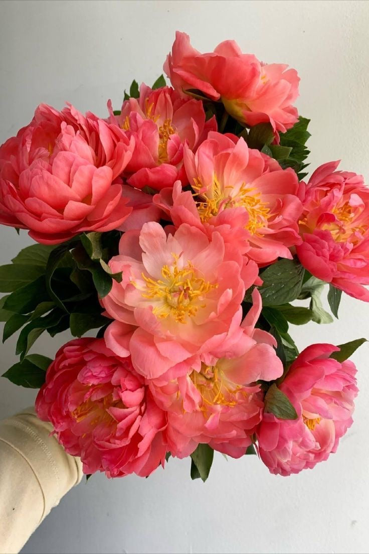 Peony spring floral bouquet