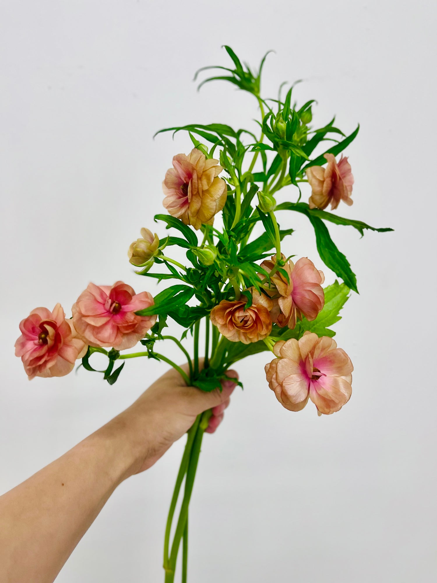 San Marcos local florist specializing in one of a kind arrangements