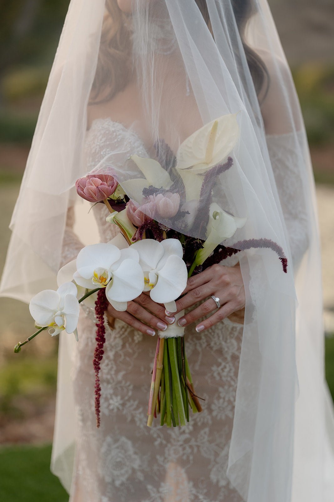 Bridal Bouquet (Designer’s Choice)